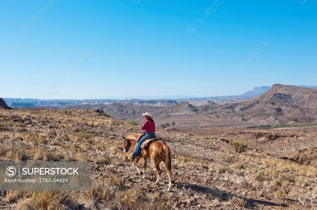 Usa, Men Horseback Riding Among Desert Landscape; Texas