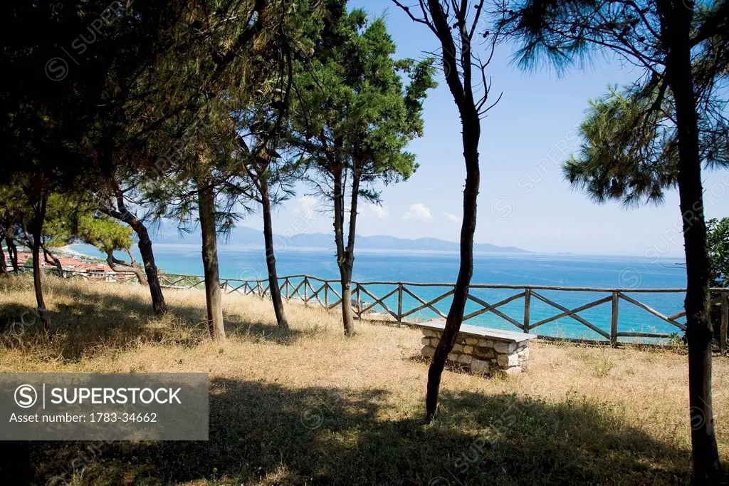 View from the hill top site of the akanthos ruins with a view of the mediterranean sea through the pine trees; ierissos halkidiki greece