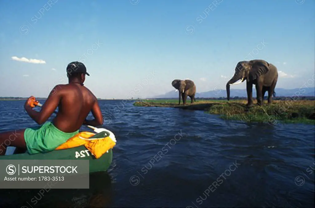 Game Viewing by canoe down the Zambezi River, Mana Pools Zambezi River Zimbabwe