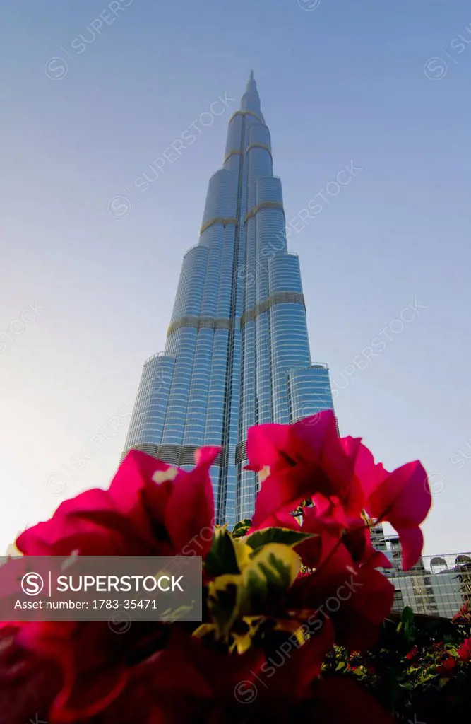 Burj Khalifa With Flowers In The Foreground At Dubai, Uae