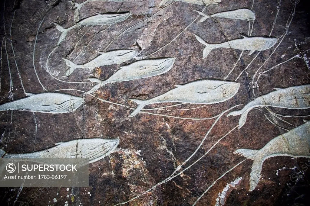 Denmark, Greenland, Whale carvings on rocks; Qaqortoq (Julianehab)