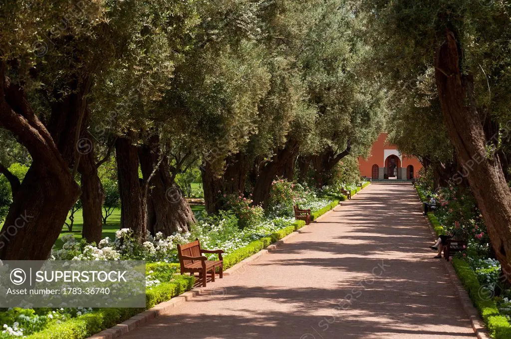 Morocco, Garden alley; Marrakech