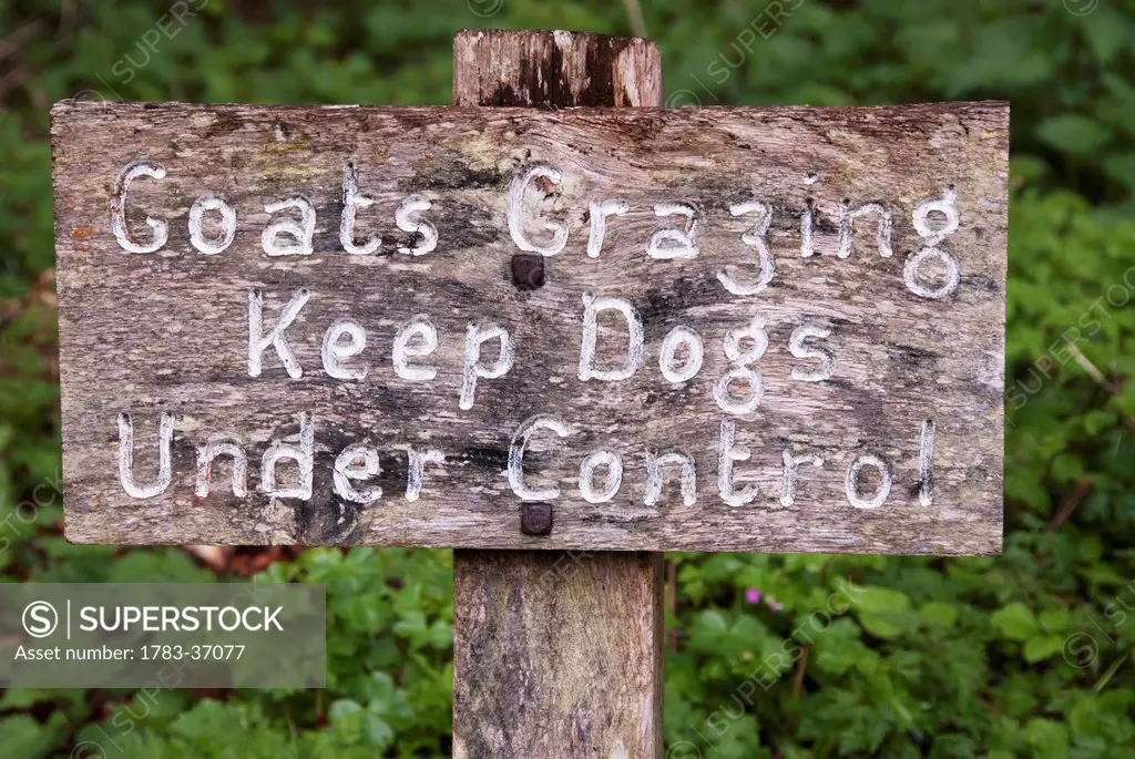 Wooden Signs On The South West Coast Path Near Lynmouth, Exmoor, United Kingdom