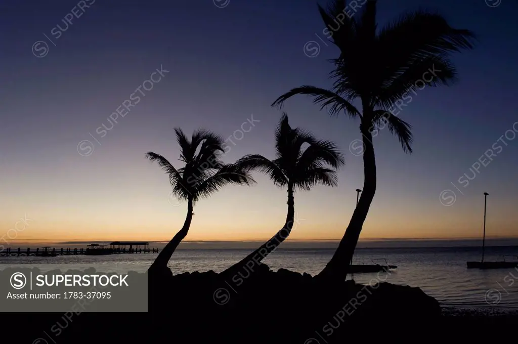 Sunrise over pier and boat dock; Islamorada, Florida Keys, Florida, USA
