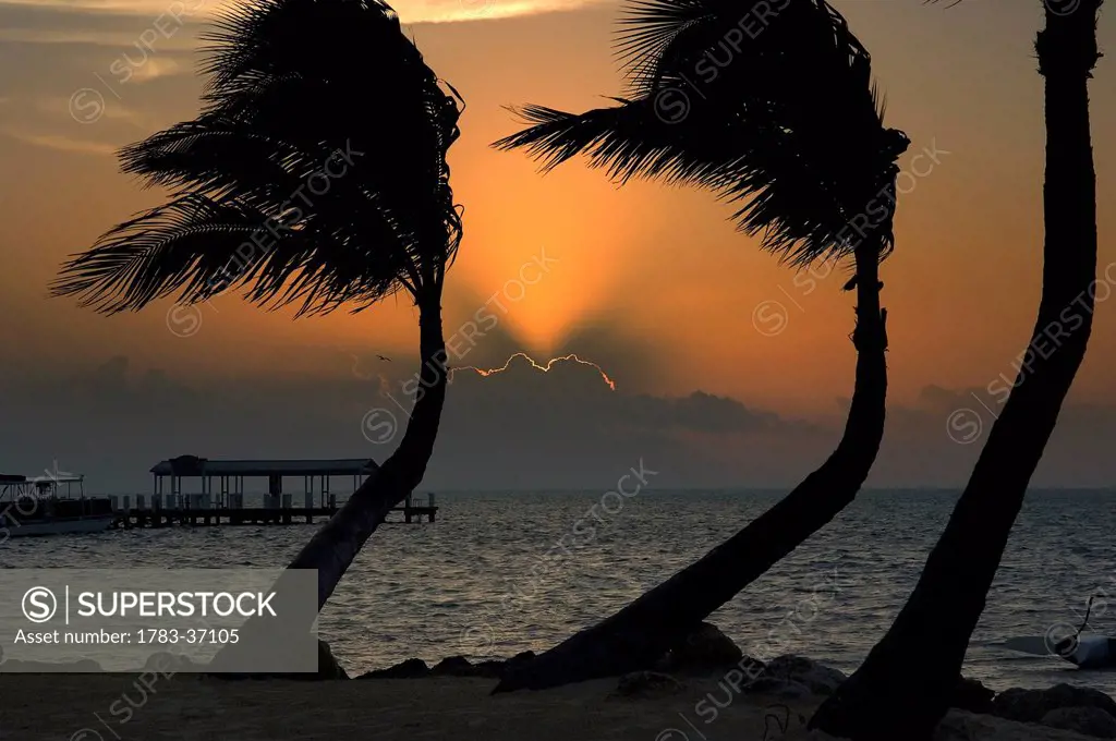 Sunrise over pier and boat dock; Islamorada, Florida Keys, Florida, USA