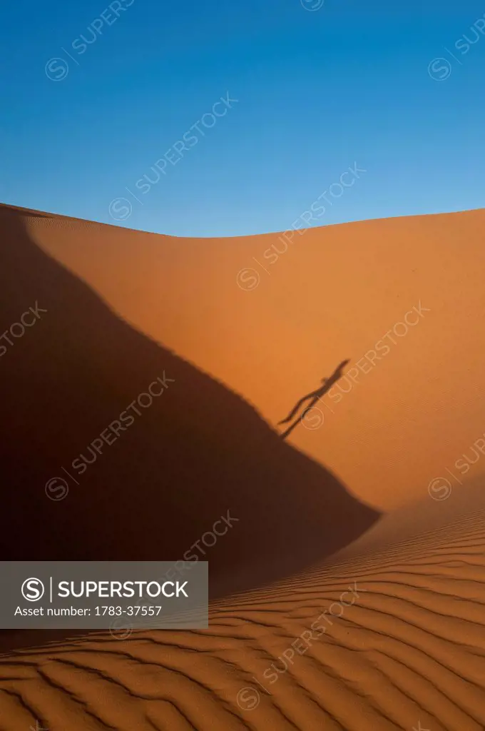 Shadow of man running up sand dune in Erg Chebbi near Merzouga; Sahara Desert, Morocco