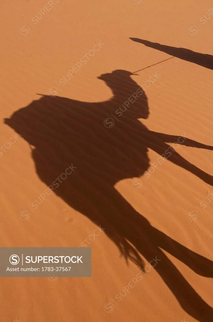 Shadow of Berber 'Blue man' leading camel across sand dunes, Erg Chebbi near Merzouga; Sahara Desert, Morocco