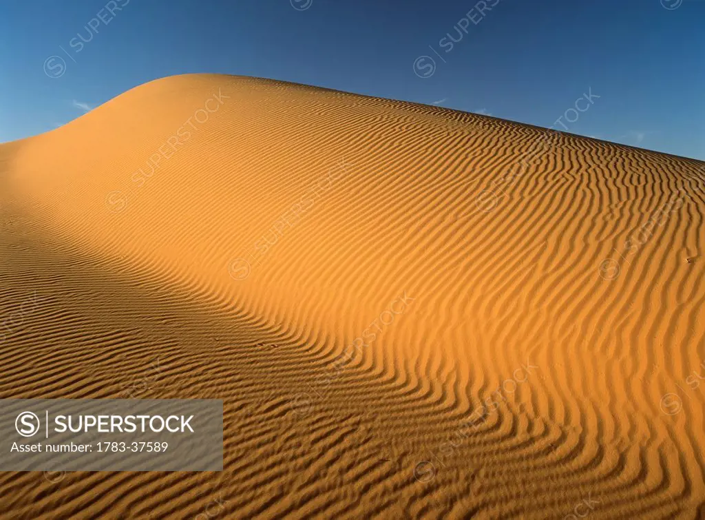 Detail of sand dune in Erg Chebbi near Merzouga; Sahara Desert, Morocco