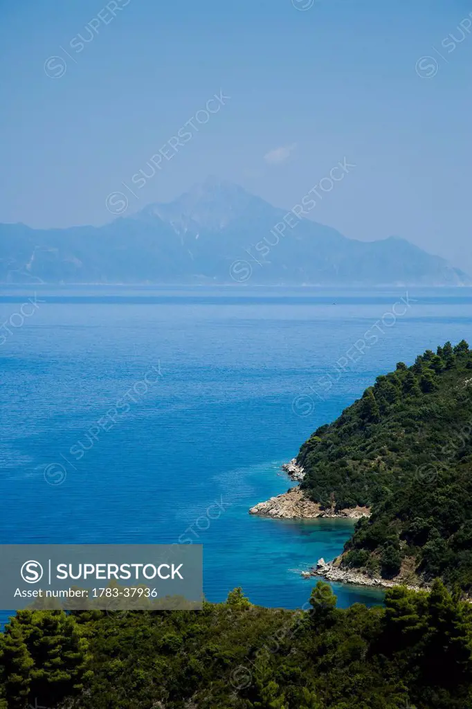Forested coastline with Mount Athos visible in distance; Sithonia, Halkidiki, Greece
