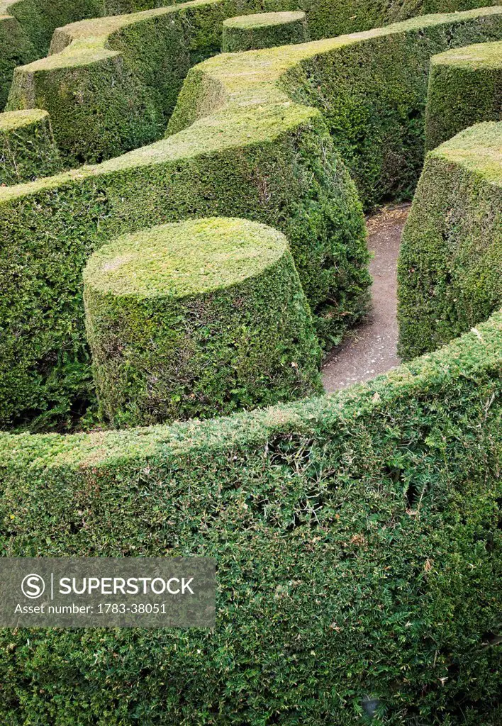 The Marlborough Maze at Blenheim Palace; Woodstock, Oxfordshire, England, UK