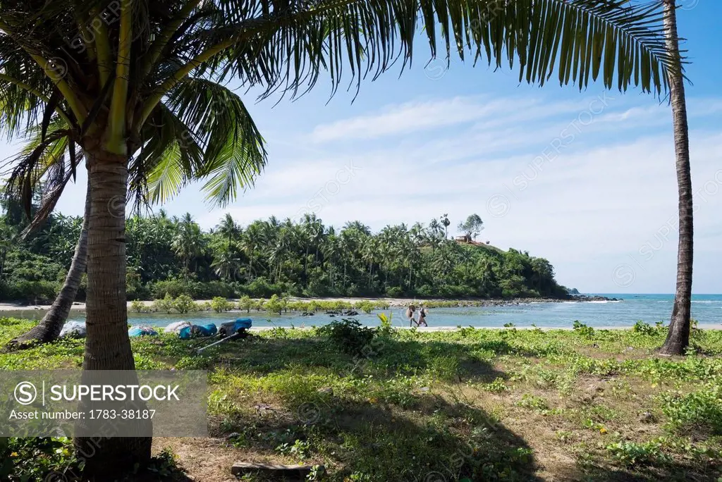 Sea cove with mangrove and coconut trees; Irrawaddyi Division, Myanmar