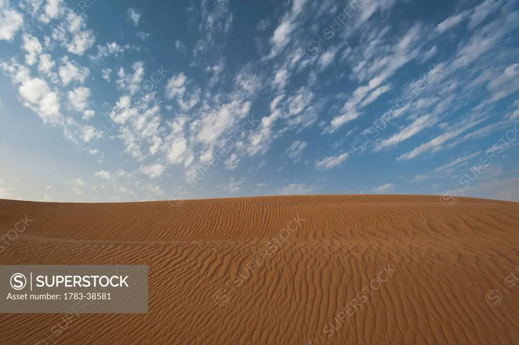Sand dune; Dubai, UAE