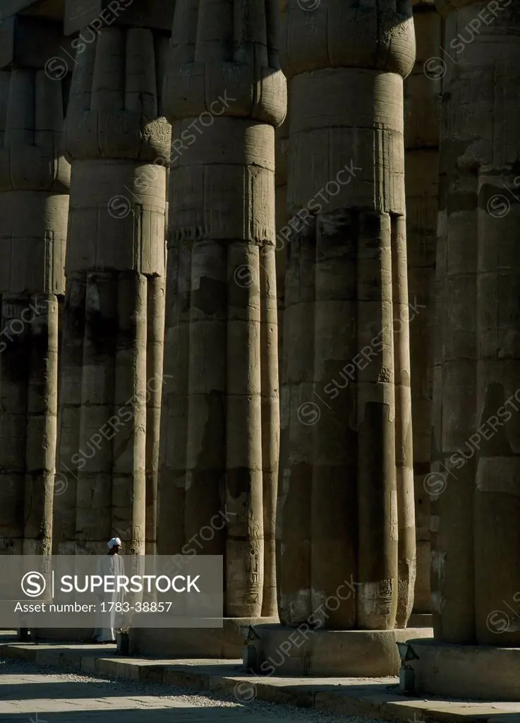 Temple guard beside papyrus-bundle columns in Court of Amenophis III, Luxor Temple; Luxor, Egypt