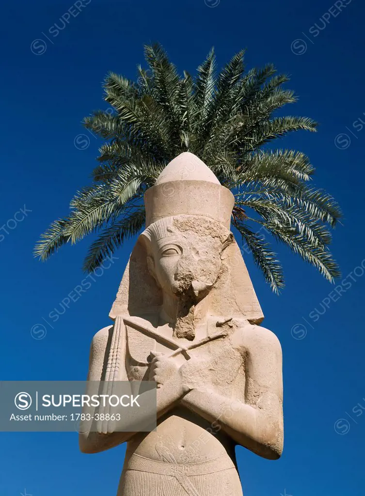 Colossus of Ramses II in front of date palm, Precinct of Amun, Karnak Temple; Luxor, Egypt