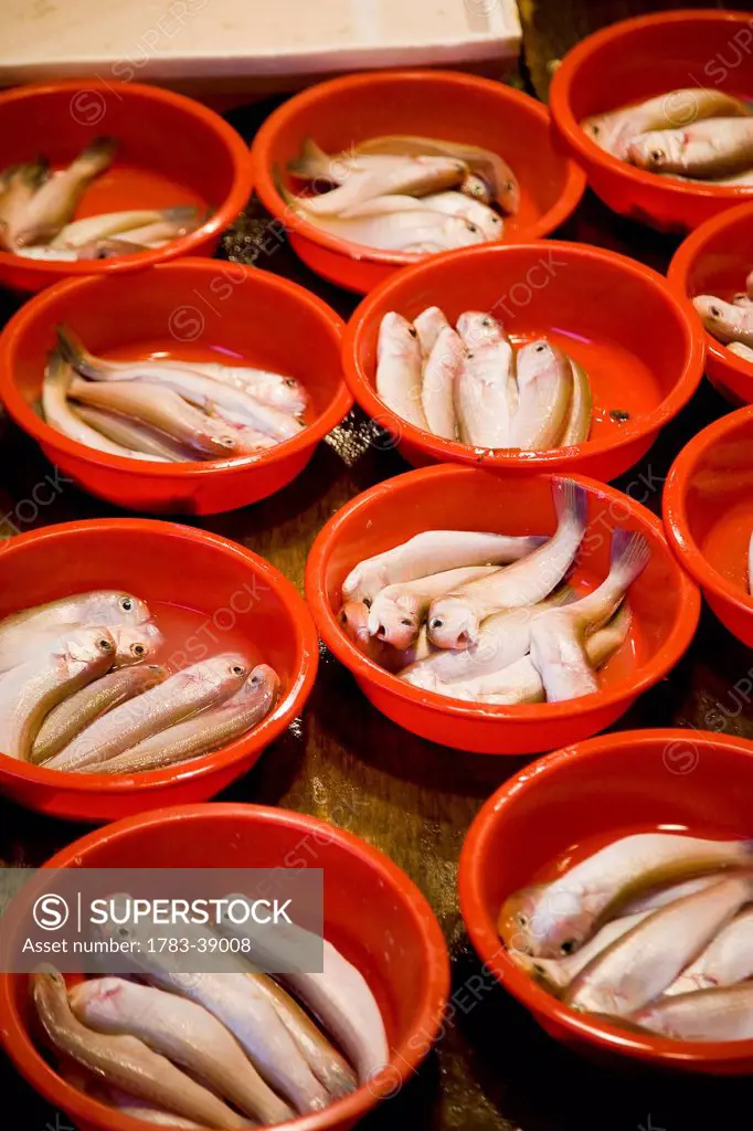 Fresh fish at Mong Kok covered market; Kowloon, Hong Kong, China