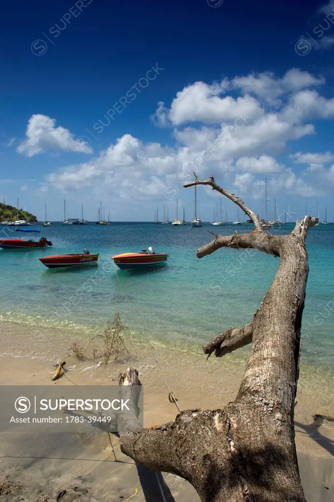 View of Tyrrel Bay; Carriacou Island, Grenadines, Grenada, Caribbean
