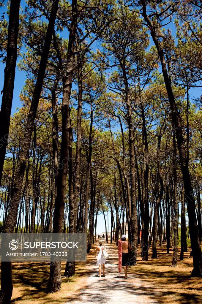 Couple On A Track Going To The Beach Through The Trees In Gorriti Island, Punta Del Este, Uruguay, South America