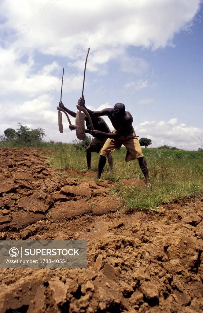Nigeria, Farmers in field; Plateau State