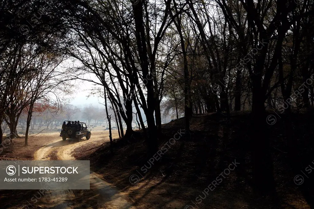 Jeep at Ranthambore Park Rajasthan India © Andy Kerry / Axiom