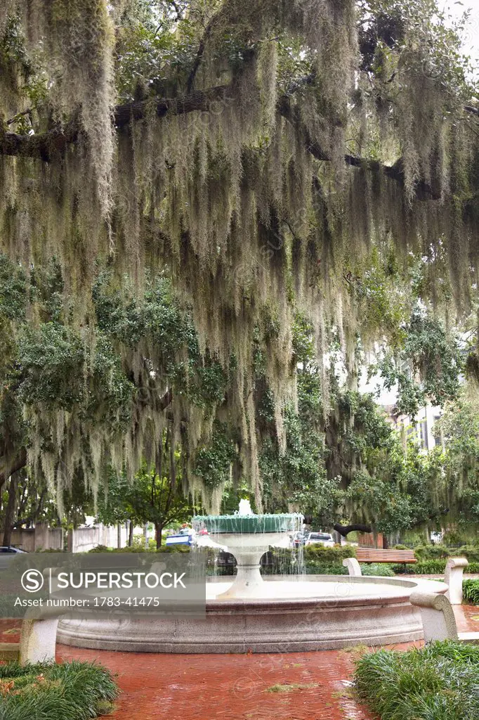 USA, Georgia, Fountain in park; Savannah