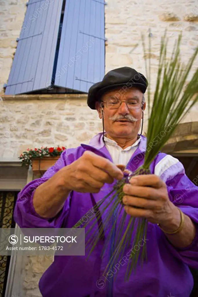 Man waving with lavender outside building, low angle view, Vaison-la-Romaine, Provence, France