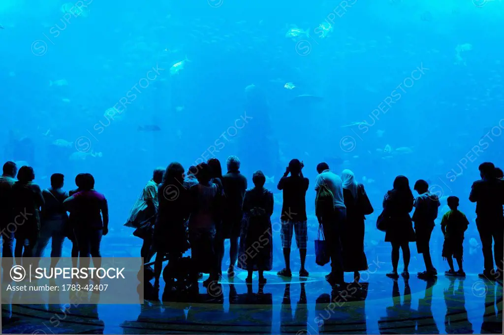 Silhouette of people watching fish in aquarium, Atlantis The Palm Hotel; Dubai, United Arab Emirates