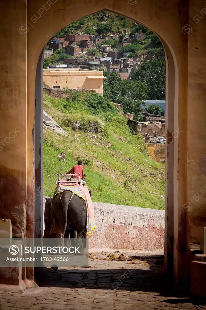Elephant leaving castle gate; Jaipur, Rajasthan, India