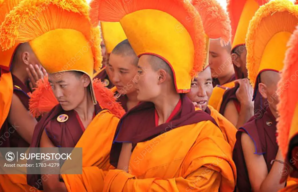 Nuns / monks in traditional dress with yellow orange hats and robes praying at 800 year old birthday celebration / rituals of the Buddhist Drukpa Lineage, Naro Photang Shey, (Shey Monastery), Leh Ladakh, Indian Himalayas, India