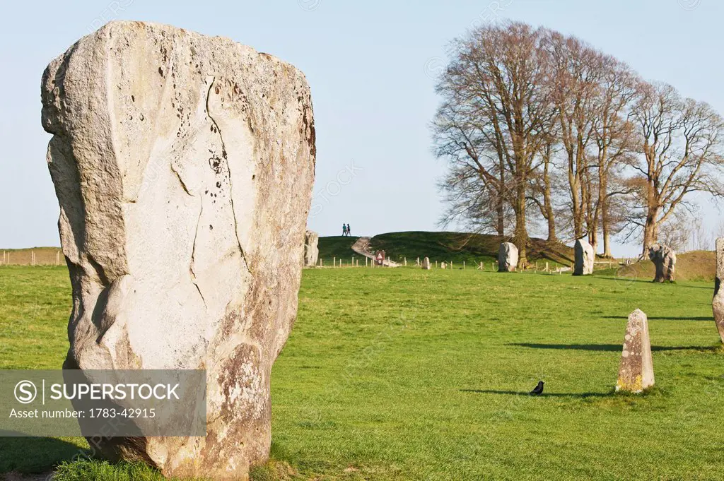 Boulder from Neolithic Henge; Avebury, Wiltshire, England, UK