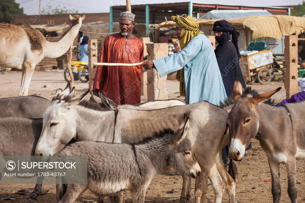 Niger, Housa man barting with Tuareg livestock trader at Agadez's livestock market; Agadez