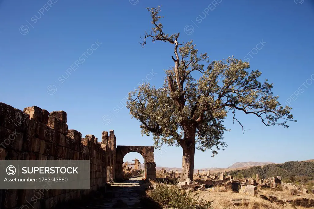 Roman ruins beside the Severan Temple; Djemila, Algeria
