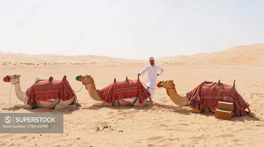 A local camel handler in Empty Quarter in Liwa Oasis; Liwa Oasis, Abu Dhabi, United Arab Emirates