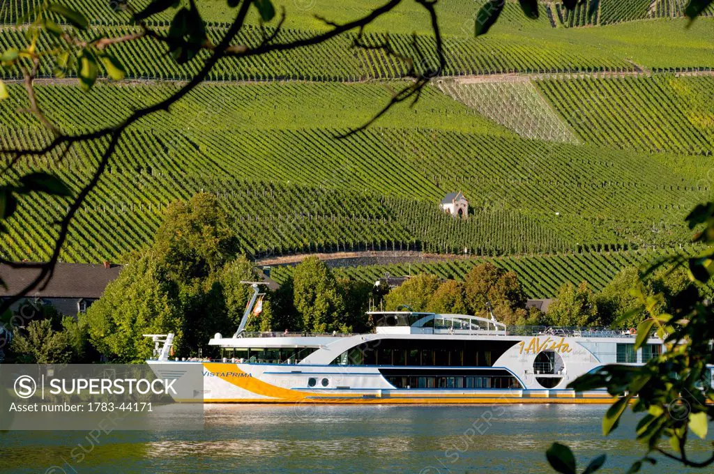 Vineyards and a boat in the river in Mosel valley; Piesport, Rhineland-Palatinate, Germany