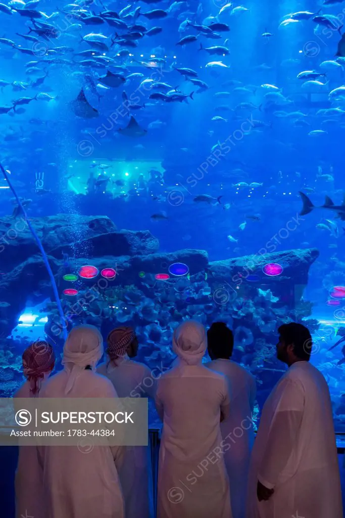 Men dressed in traditional ararbic dishdashas looking at the aquarium in the Dubai Mall; Dubai, United Arab Emirates