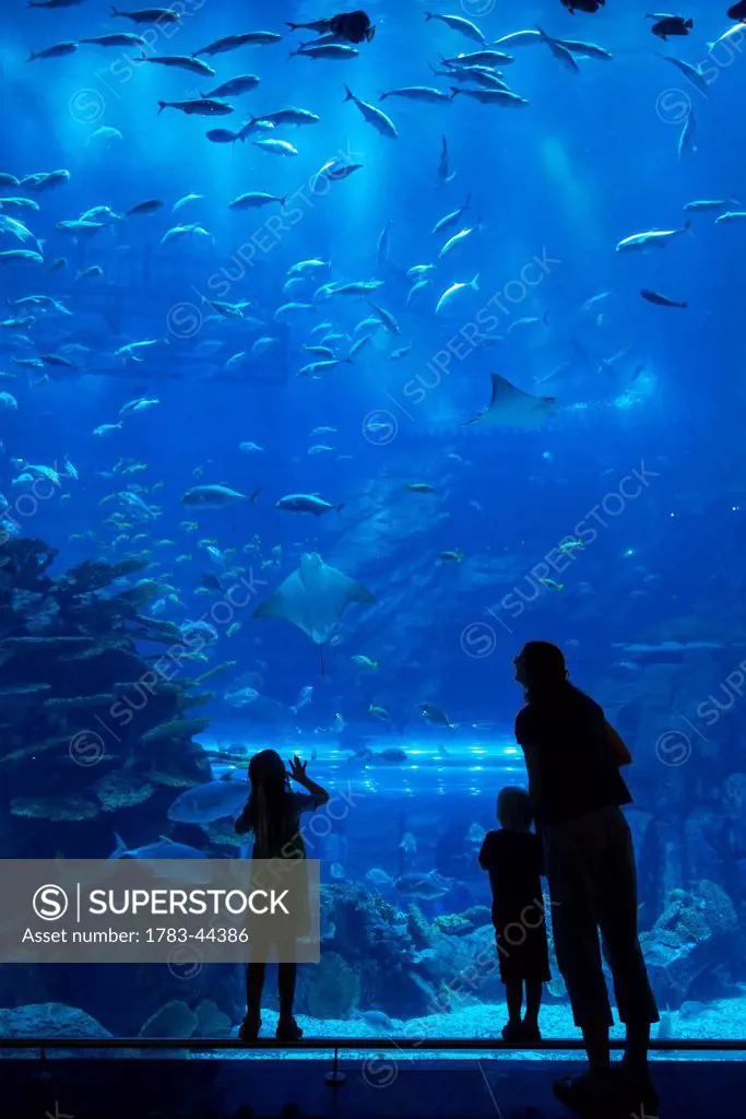 Mother with boy and girl looking into the massive aquarium in the Dubai Mall; Dubai, United Arab Emirates