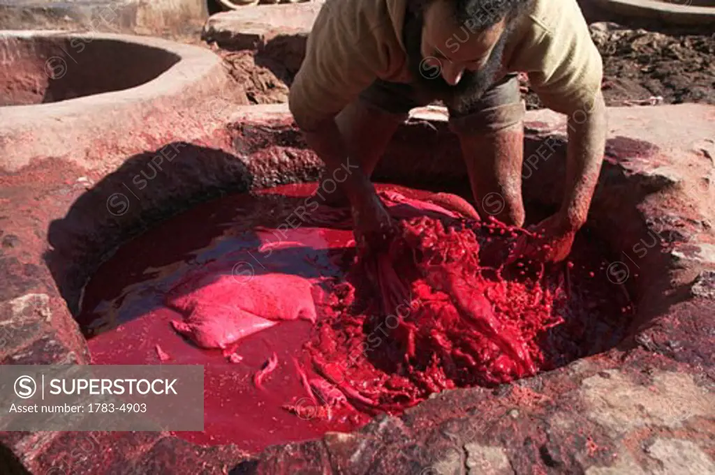 Man working at tannery in Medina, Fes, Morocco