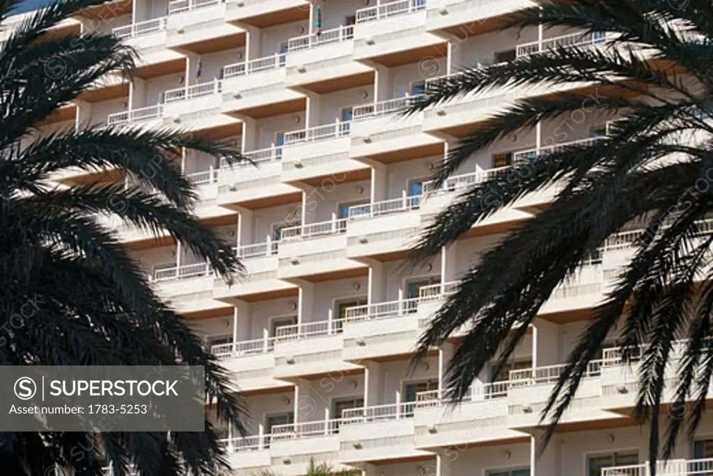 Palm trees in front of hotel, Torremolinos, Andalucia, Spain