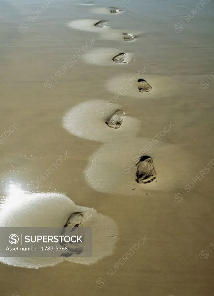 Footprints in the wet sand on beach near Sedgefield,on the Garden Route,South Africa. 