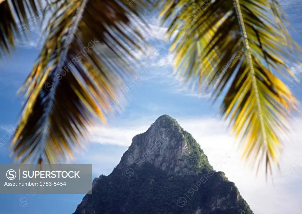 Looking through palm tree on the beach at Soufriere at dusk towards Petit Piton,St Lucia. 