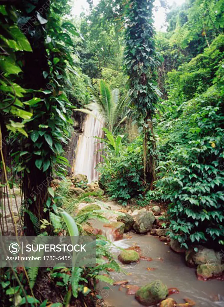 Waterfall on the Diamond Garden Estate,near Soufriere,St. Lucia. 