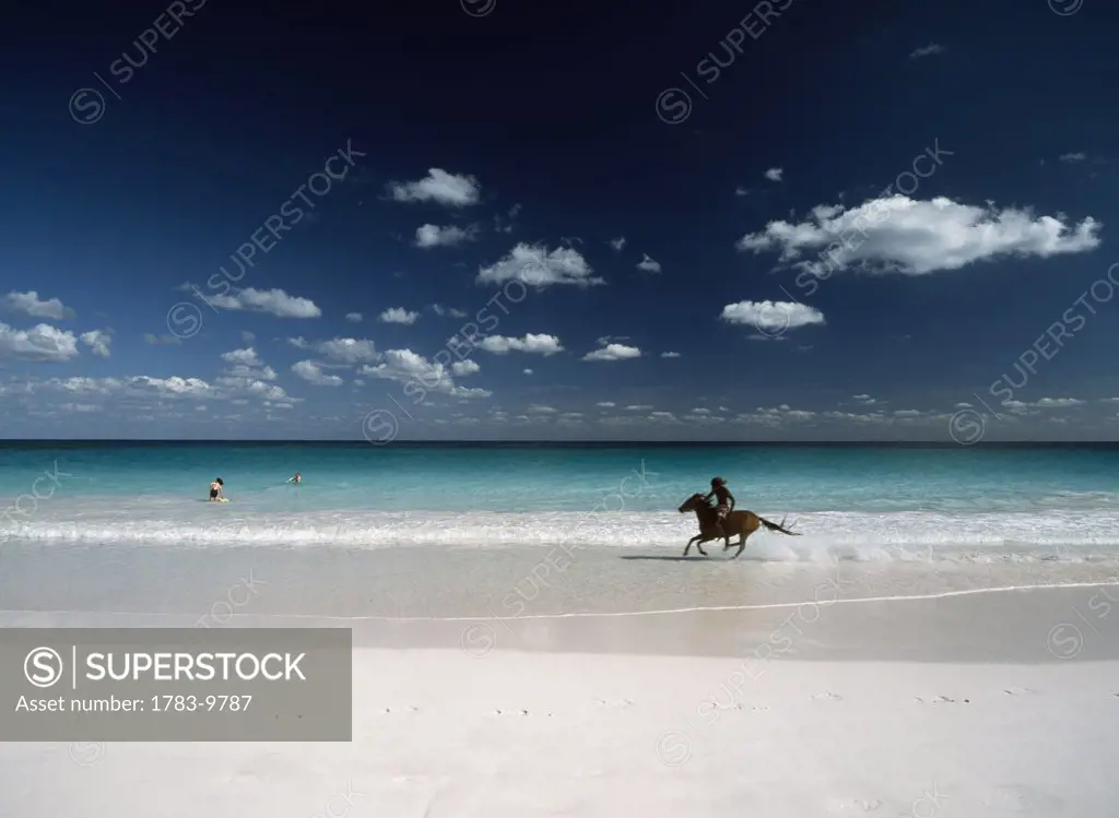 Rasta galloping on horse along Pink Sand Beach, Harbour Island, Bahamas.