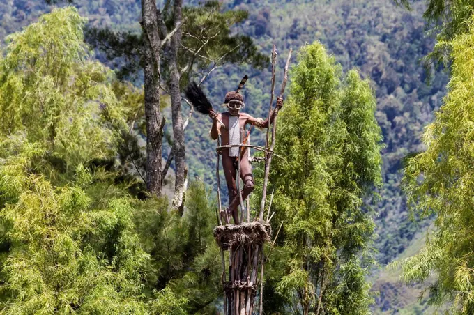 Dani man standing on guard on a watchtower, Obia Village, Baliem Valley, Central Highlands of Western New Guinea, Papua, Indonesia