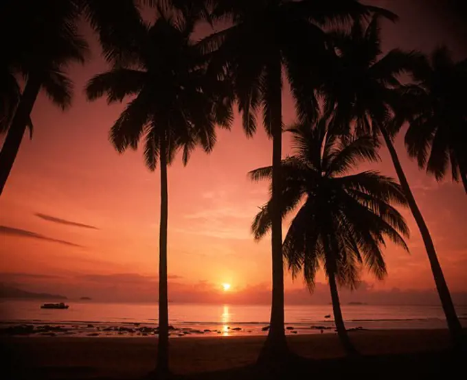 Tropical beach at sunset, Johar State, Malaysia.