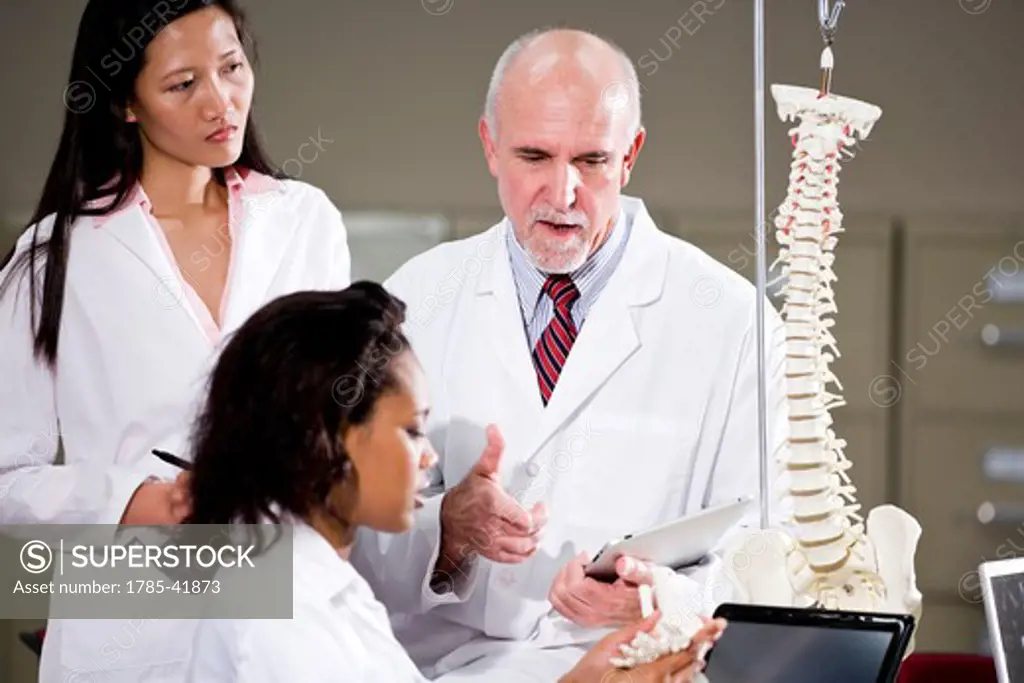Medical team discussion, examining skeleton model