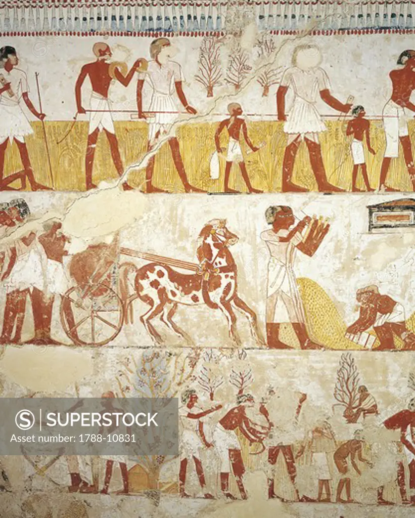 Egypt, Thebes, Luxor, Sheikh 'Abd al-Qurna, Tomb of royal estate supervisor Menna, Vestibule, Mural paintings, Working in fields