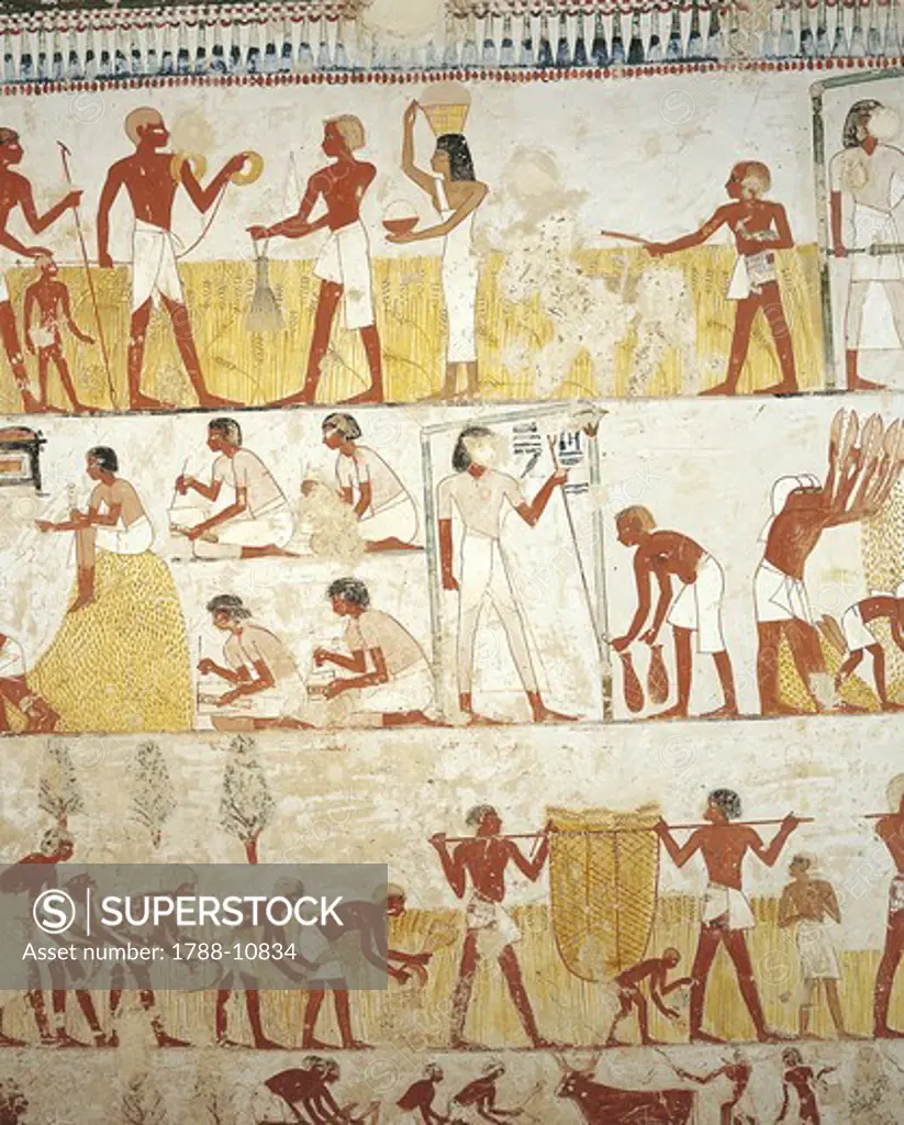 Egypt, Thebes, Luxor, Sheikh 'Abd al-Qurna, Tomb of royal estate supervisor Menna, Vestibule, Mural paintings, Working in fields