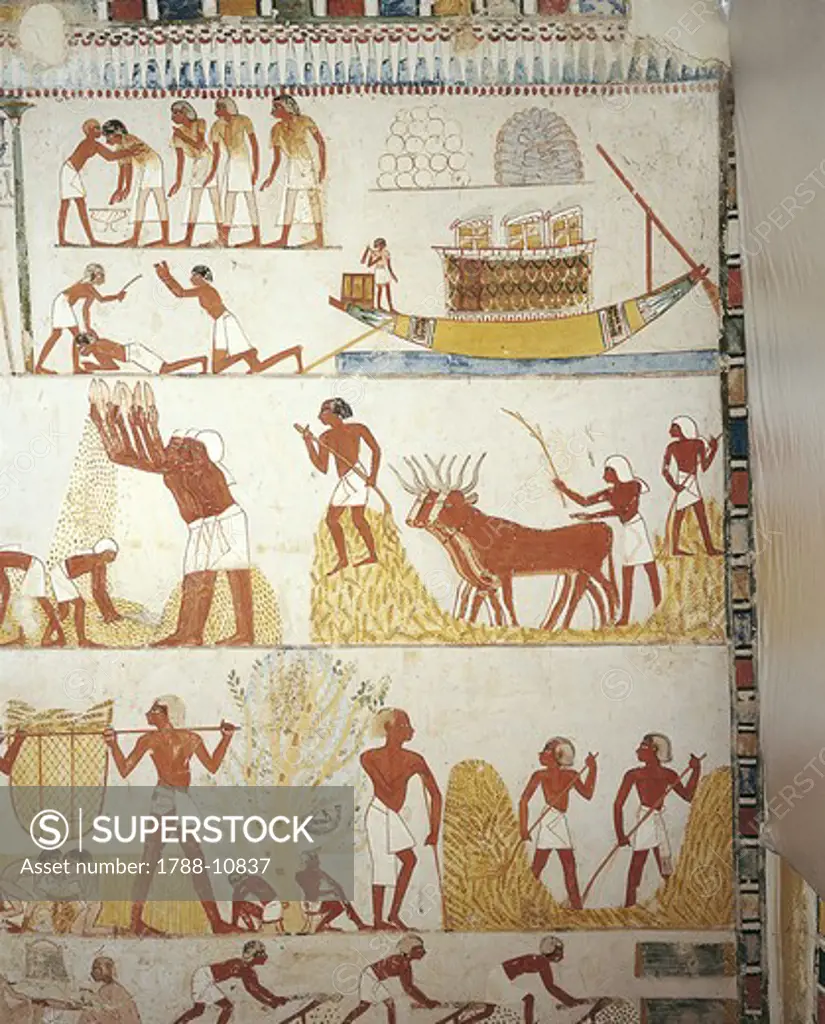 Egypt, Thebes, Luxor, Sheikh 'Abd al-Qurna, Tomb of royal estate supervisor Menna, Vestibule, Mural paintings, Working in fields