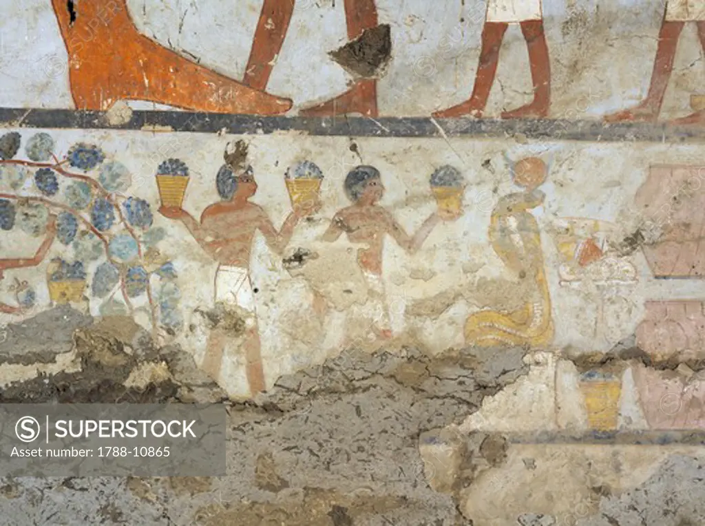 Egypt, Thebes, Luxor, Sheikh 'Abd al-Qurna, Tomb of standard-bearer of pharaoh Pehsukher, Mural paintings, Vine harvest