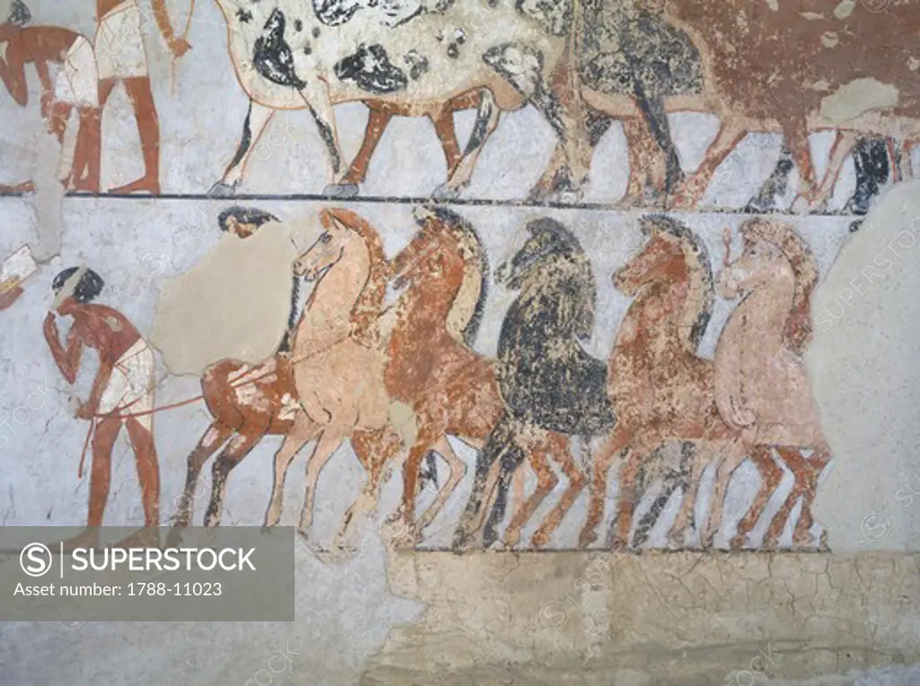 Egypt, Thebes, Luxor, Sheikh 'Abd al-Qurna, Tomb of Thanuny, Fresco detail showing horses
