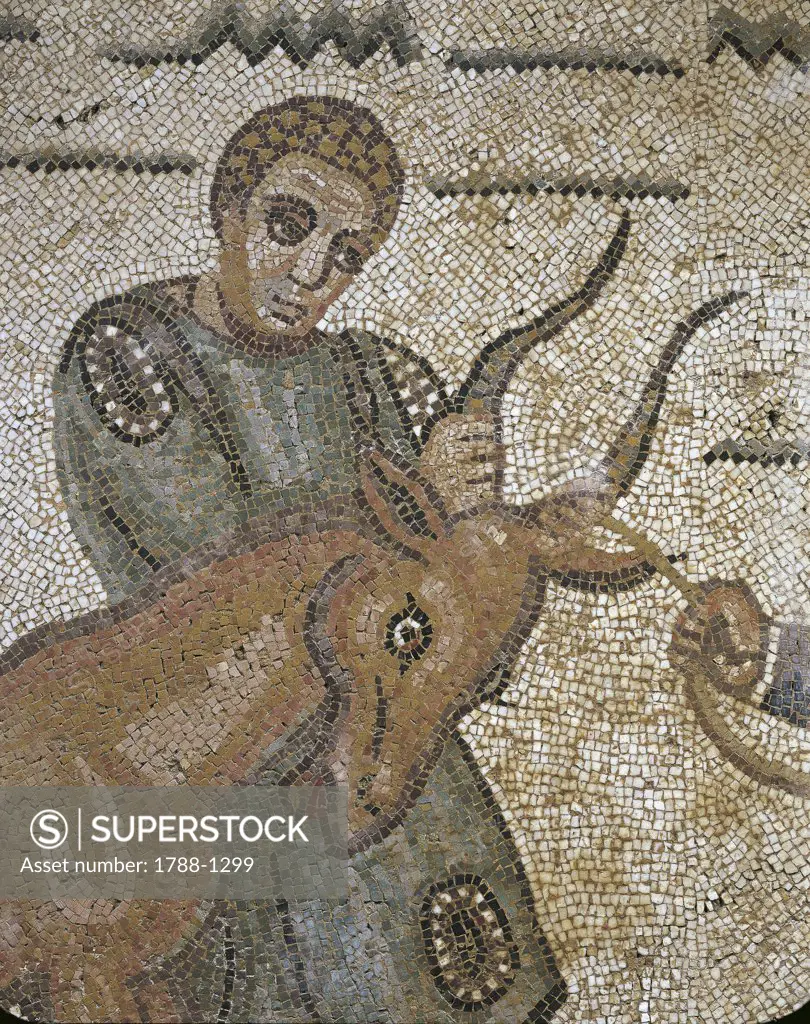 Italy - Sicily Region - Piazza Armerina - Roman Villa of Casale (4th century) - Corridor of the Great Hunt - Mosaic work - Bull transportation - Detail